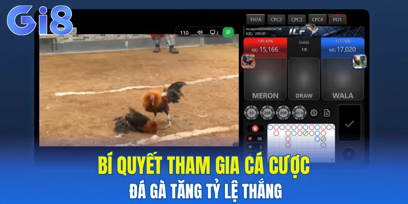 Bí quyết tham gia cá cược đá gà tăng tỷ lệ thắng