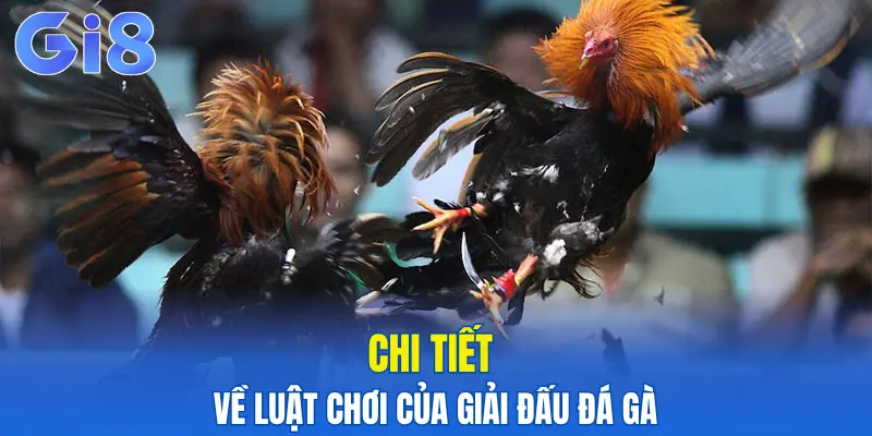 Chi tiết về luật chơi của giải đấu đá gà