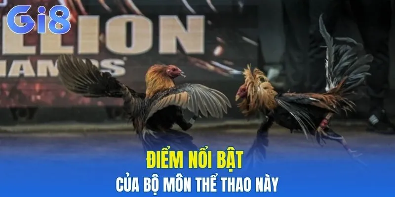 Điểm nổi bật của bộ môn thể thao thú vị này