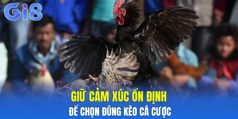 Giữ cảm xúc ổn định để chọn kèo cá cược đúng