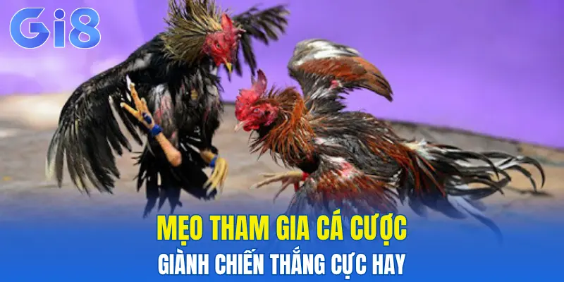 Mẹo tham gia cá cược giành chiến thắng cực hay