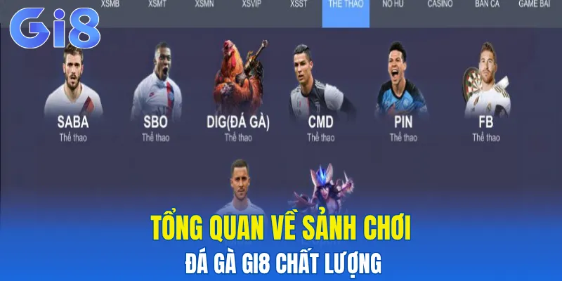 Tổng quan về sảnh chơi đá gà Gi8 chất lượng